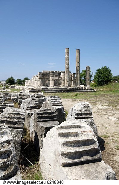 Truthuhn  UNESCO-Welterbe  Anatolien  Eurasien  Türkei