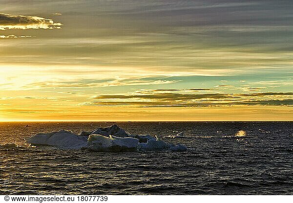 Tschuktschensee bei Sonnenuntergang  Russischer Ferner Osten
