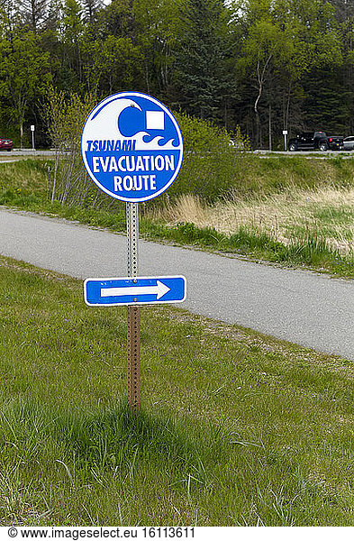 Tsunami Evacuation Road  Near Homer Harbor  Kenai Peninsula  Alaska