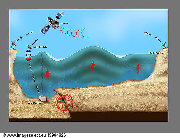 Tsunami Warning Diagram