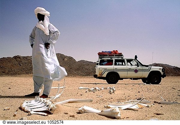 Tuareg-Treiber betrachten Camel Knochen. Tassili N´Ajjer Bereich  Sahara-Wüste. Algerien