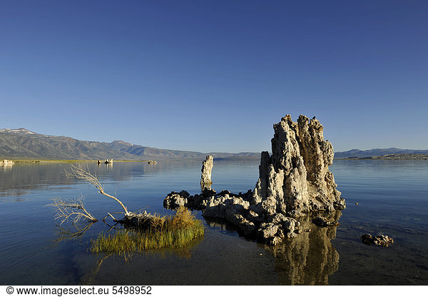 Tufa Rocks  Kalktuff Formationen  South Tufa Area  Natronsee Mono Lake  Mono Basin and Range Region  Sierra Nevada  Kalifornien  Vereinigte Staaten von Amerika  USA