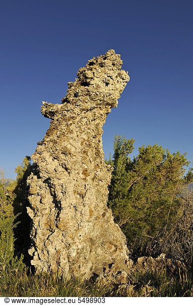 Tufa Rocks  Kalktuff  Tuff  Formationen  South Tufa Area  Natronsee Mono Lake  Mono Basin and Range Region  Sierra Nevada  Kalifornien  Vereinigte Staaten von Amerika  USA