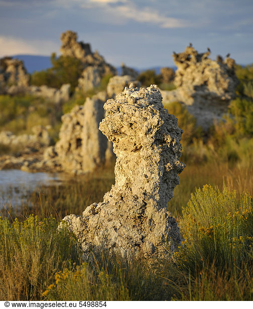 Tufa Rocks  Kalktuff  Tuff  Gesteinsformationen  South Tufa Area  Natronsee Mono Lake  Mono Basin and Range Region  Sierra Nevada  Kalifornien  Vereinigte Staaten von Amerika  USA