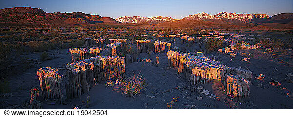 Tufa towers near Navy Beach in Mono Lake  Eastern Sierra  California  USA