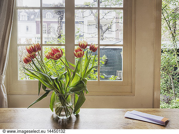 Tulips in vase on table by window