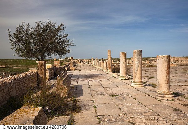 Tunisia,  Central Western Tunisia,  Makthar,  ruins of the Roman-era city of Mactaris,  Roman Forum and Trajan´s Arch