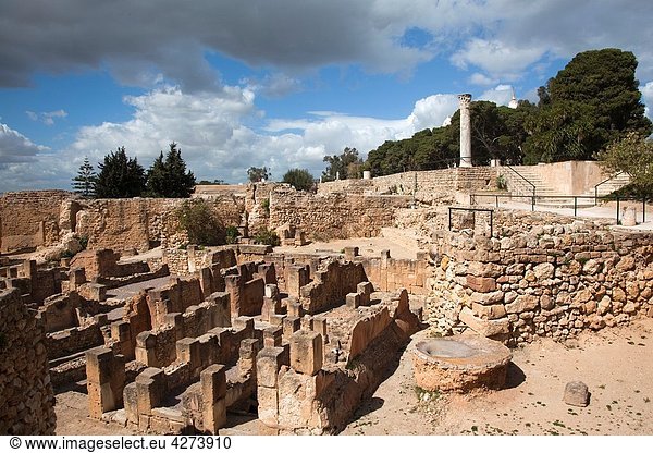 Tunisia,  Tunis,  Carthage,  Byrsa Hill,  Roman-era ruins