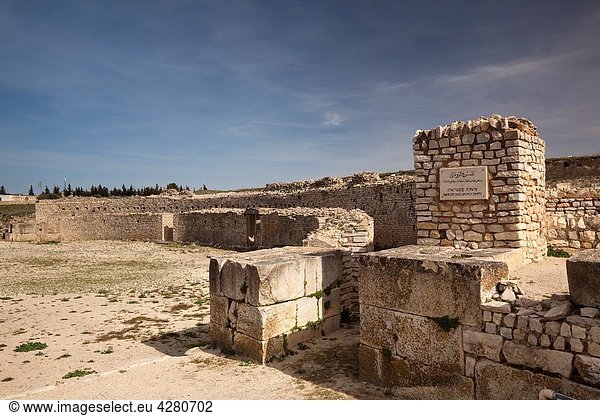 Tunisia  Central Western Tunisia  Makthar  ruins of the Roman-era city of Mactaris  amphitheater