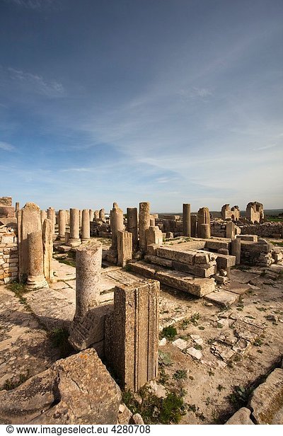 Tunisia  Central Western Tunisia  Makthar  ruins of the Roman-era city of Mactaris  Roman Forum