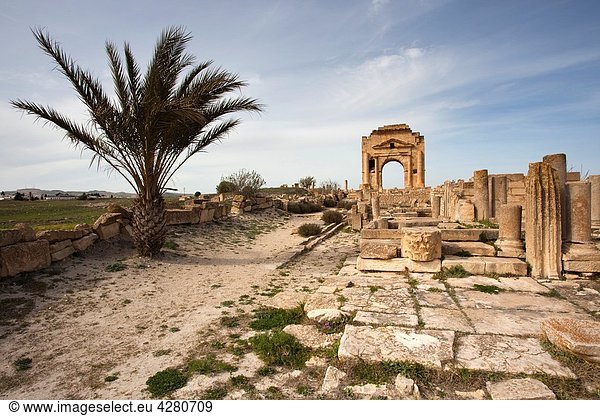 Tunisia  Central Western Tunisia  Makthar  ruins of the Roman-era city of Mactaris  Roman Forum and Trajan´s Arch