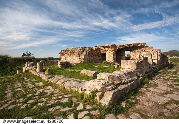 Tunisia  Northern Tunisia  Bulla Regia  ruins of underground Roman-era villas