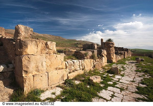 Tunisia  Northern Tunisia  Bulla Regia  ruins of underground Roman-era villas