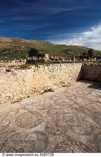 Tunisia  Northern Tunisia  Bulla Regia  ruins of underground Roman-era villas  mosaic floor