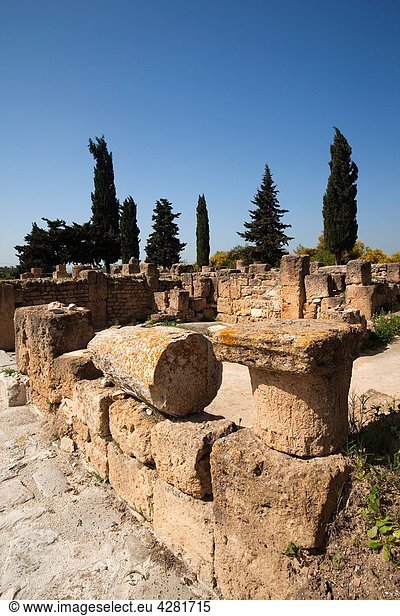 Tunisia  Northern Tunisia  Utica  Site Archeologique d´Utique  ruins of Roman-era villas