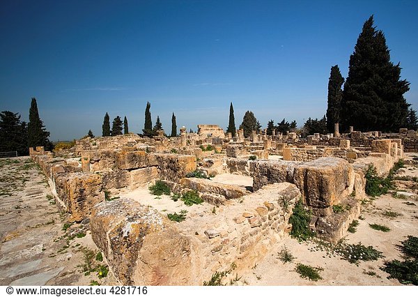 Tunisia  Northern Tunisia  Utica  Site Archeologique d´Utique  ruins of Roman-era villas