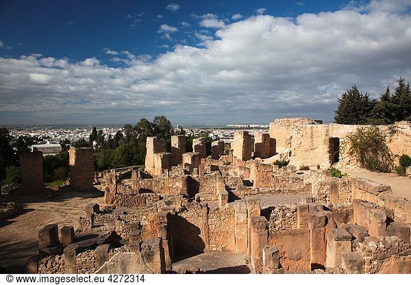 Tunisia  Tunis  Carthage  Byrsa Hill  Roman-era ruins
