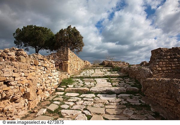 Tunisia  Tunis  Carthage  ruins of Roman-era Villas