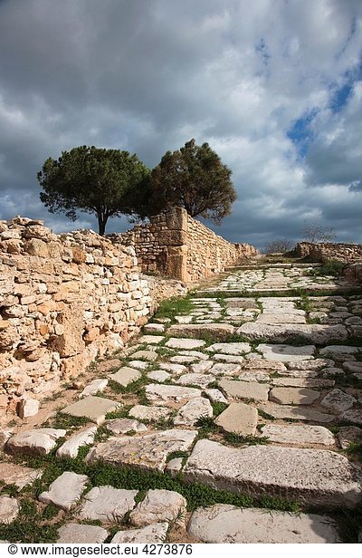 Tunisia  Tunis  Carthage  ruins of Roman-era Villas