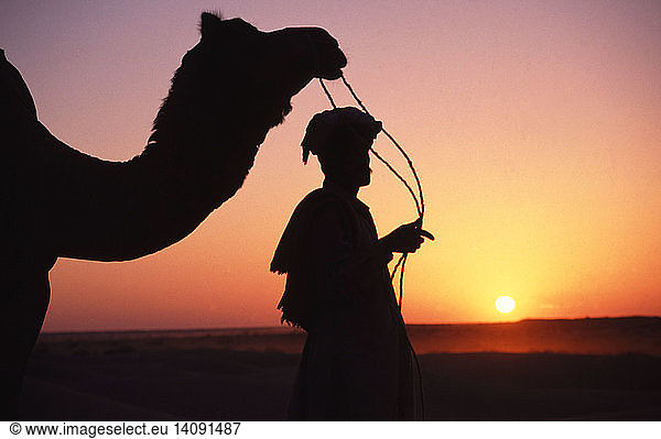 Tunisian Man with Camel