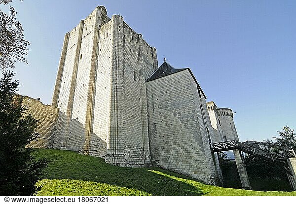 Turm  Burg Loches  Loches  Tours  Departement Indre-et-Loire  Centre  Frankreich  Bergfried  Europa