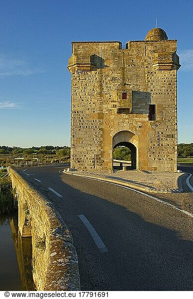 Turm Carbonniere  Aigues-Mortes  Gard  Languedoc-Roussillon  Tour Carbonniere  Petit Camargue  Kohle-Turm  Frankreich  Europa