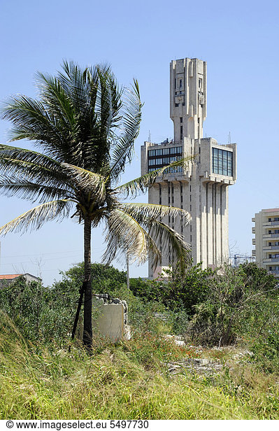Turm der russischen Botschaft hinter Palme  Havanna  Habana Playa  Kuba  Große Antillen  Karibik  Mittelamerika  Amerika