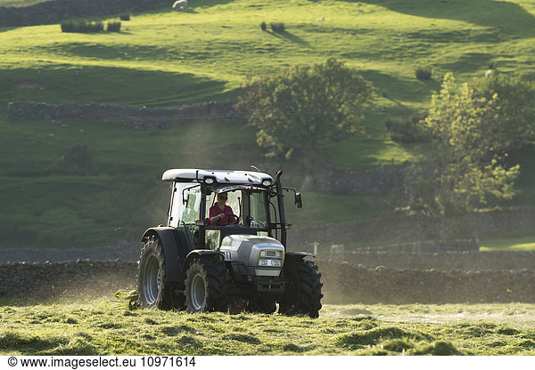 Turning grass in a traditional hay meadow  with a Hurlimann tractor and tedder  Yorkshire Dales National Park; Swaledale  England