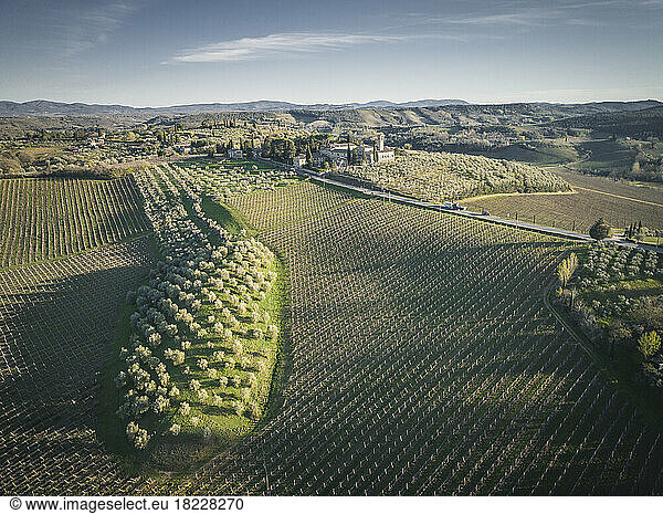 tuscany fields from aerial view at sunrise