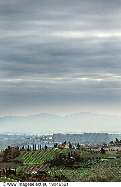 Tuscany landscape with villas and vineyards  Italy