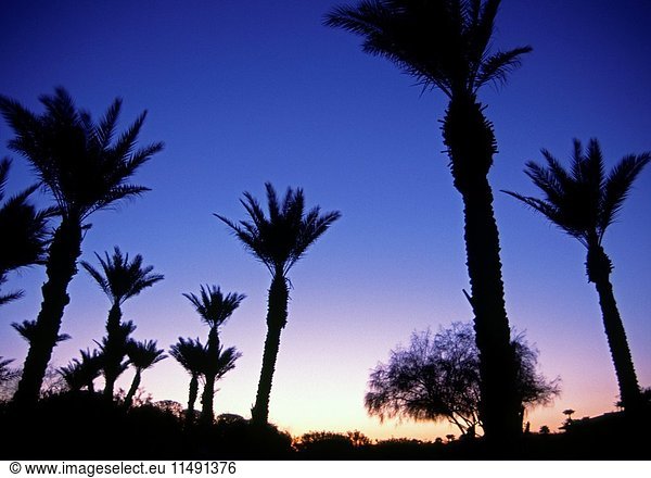 Twilight at Palm Springs California