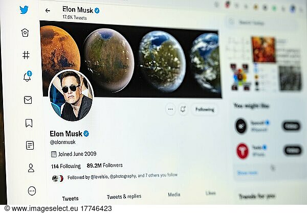 Twitter page of the entrepreneur Elon Musk  Twitter  social network  internet  website  screenshot  detail