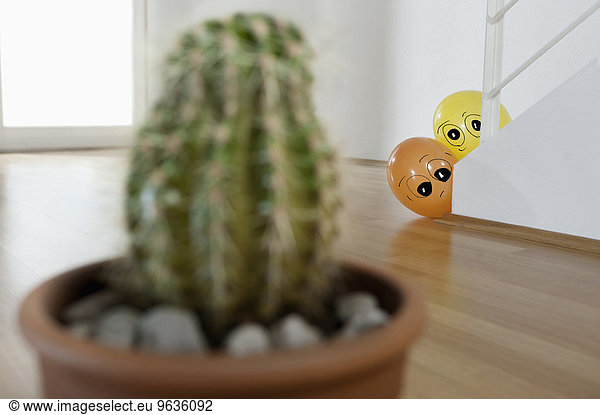 Two balloons peeking cactus