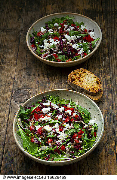 Two bowls of vegetable salad with lentils  arugula  red bell pepper  feta cheese and radicchio