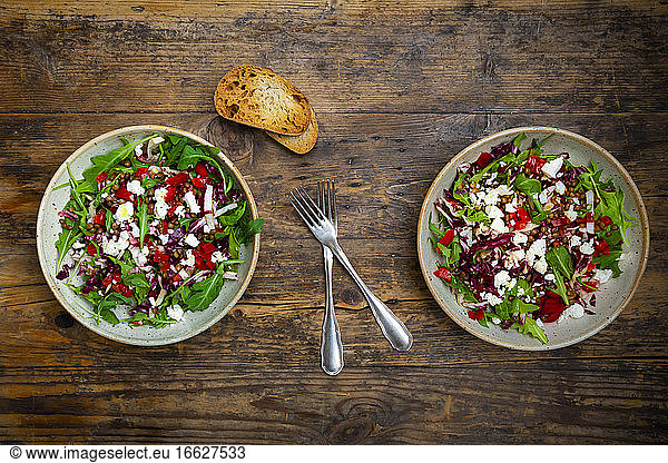 Two bowls of vegetable salad with lentils  arugula  red bell pepper  feta cheese and radicchio