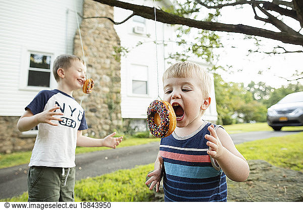 Two boys trying to eat donuts hanging from tree without using hands