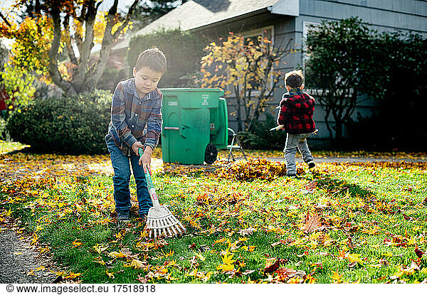 Two brothers raking leaves in front yard