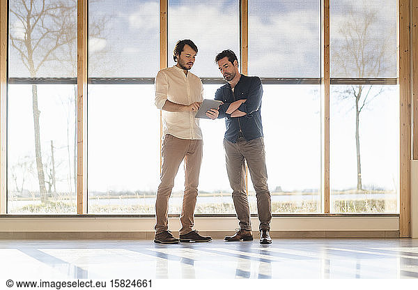Two businessmen with tablet talking at the window in wooden open-plan office