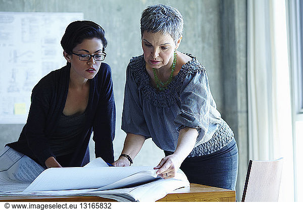 Two businesswomen checking blue prints in office