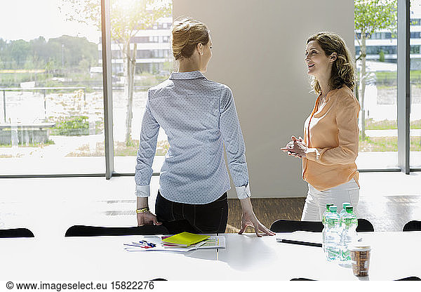 Two businesswomen having a meeting in office