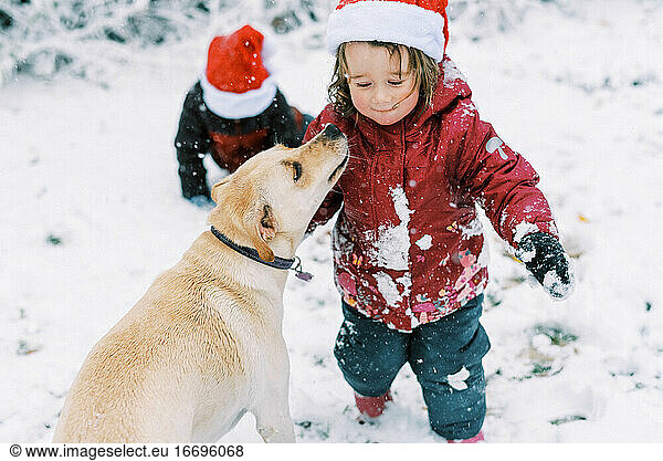 Two children and their dog playing in the snow wearing Santa hats
