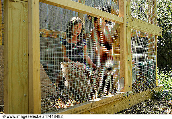 two children sit together inside coop playing with backyard chickens