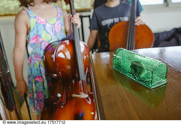 two children with cellos start at mouse on table in green box
