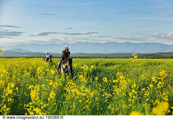Two cowgirls riding horses at sunset through a canola field
