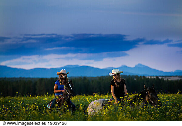 Two cowgirls riding horses at sunset through a canola field