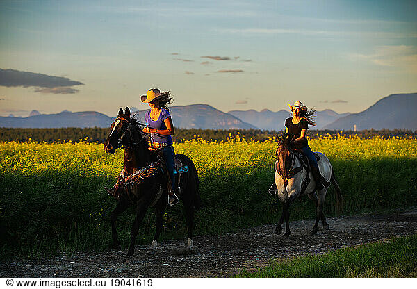 Two cowgirls riding horses at sunset through a canola field