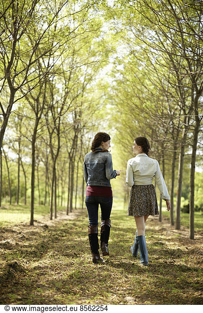 Two friends walking along a path through an avenue of trees.