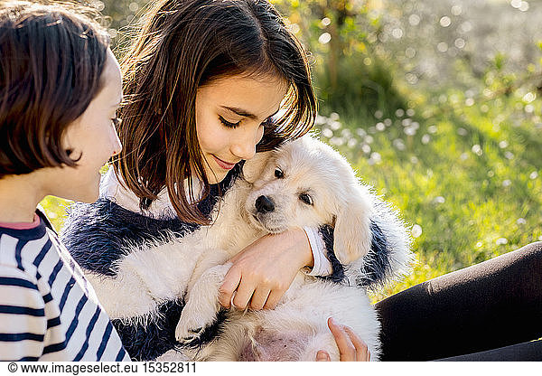 Two girls sitting in orchard hugging a cute golden retriever puppy  Scandicci  Tuscany  Italy