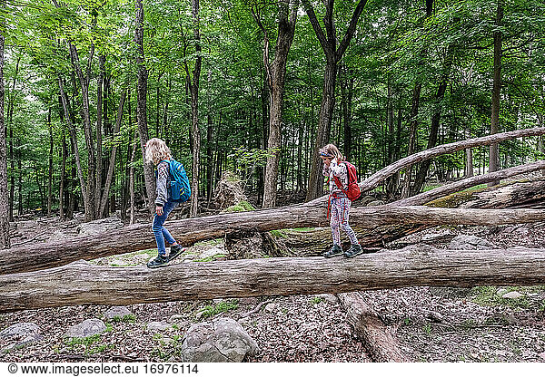 two girls walking across fallen tree trunks while hiking in springtime