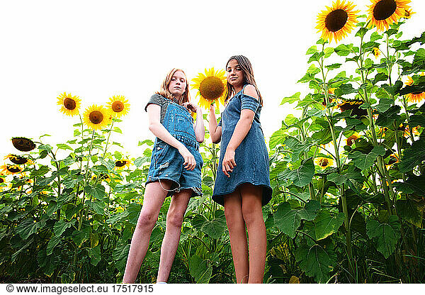 Two happy tween girls in a sunflower field.